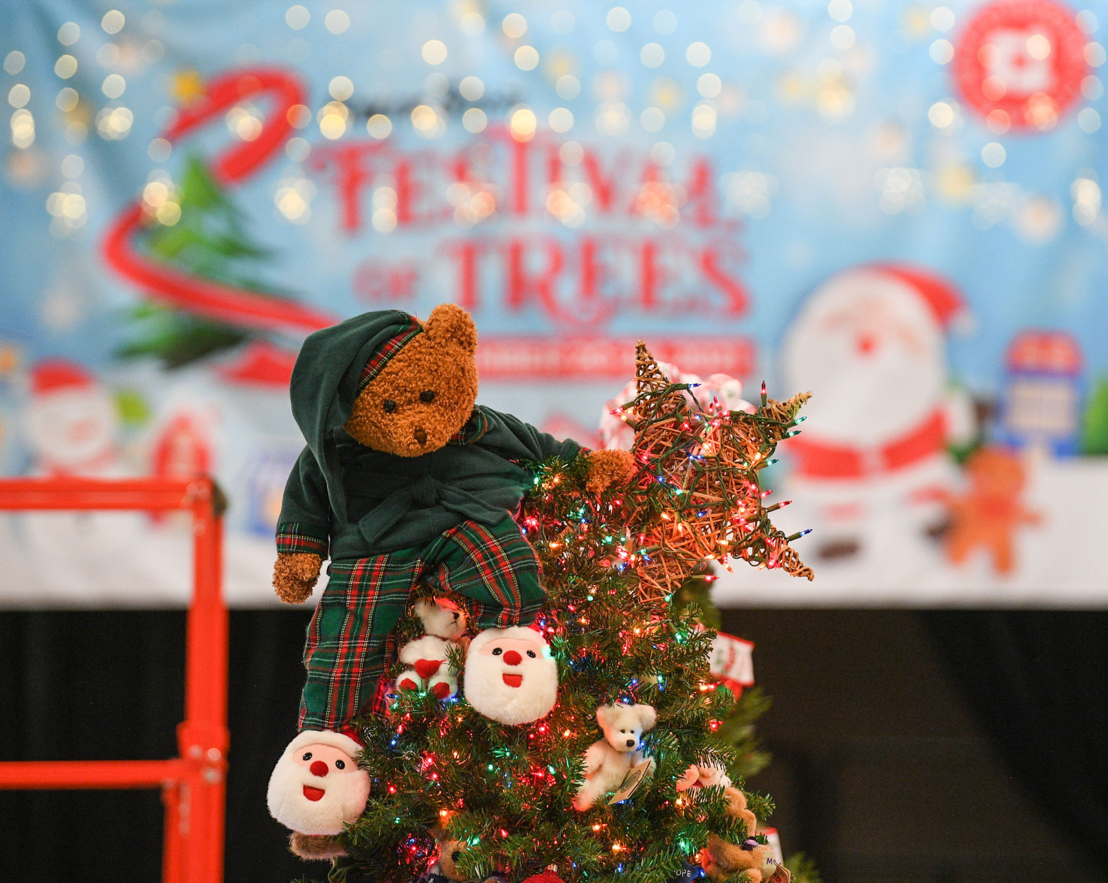 111621-qc-nws-festivaloftrees-014